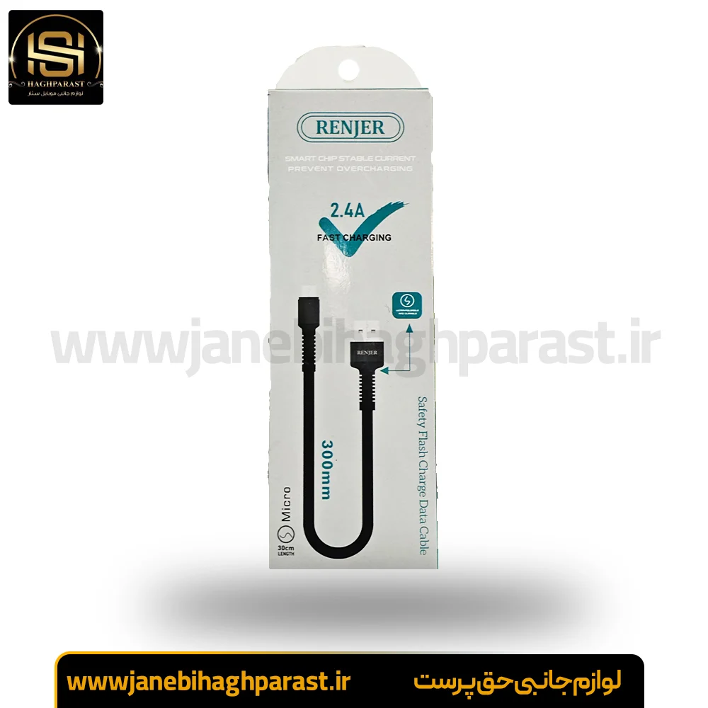 کابل پاوربانکی فست شارژ اپل رنجر RENJER RJ-14 20W