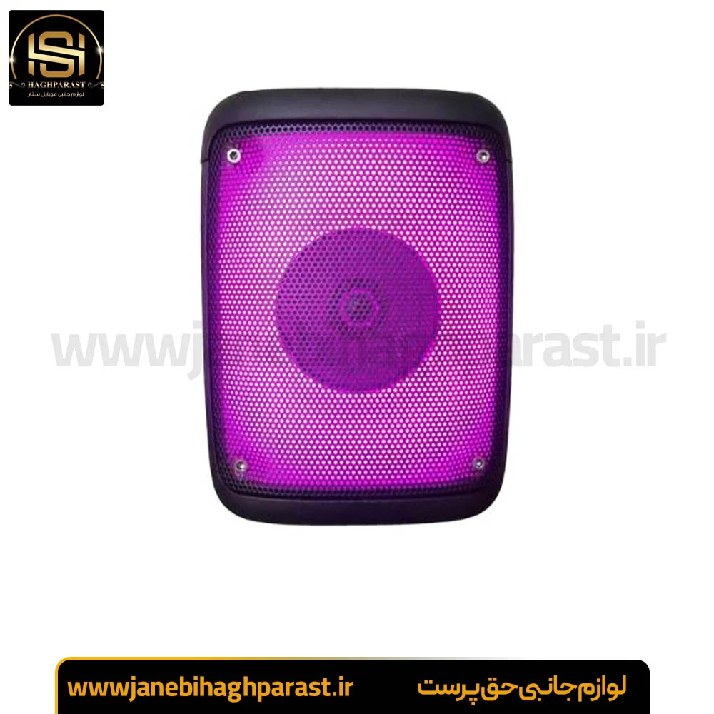 اسپیکر بلوتوثی قابل حمل مدل KTS 1576 جانبی حق پرست