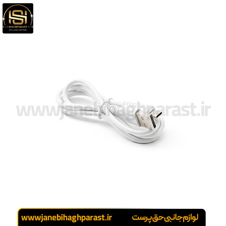 شارژر سامسونگ s10 پلاس با کابل جانبی حق پرست