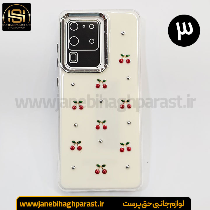 گارد موبایل رزین گوشی سامسونگ S 20 Ultra جانبی حق پرست