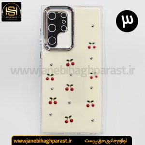 گارد موبایل رزین گوشی سامسونگ S 22 Ultra جانبی حق پرست