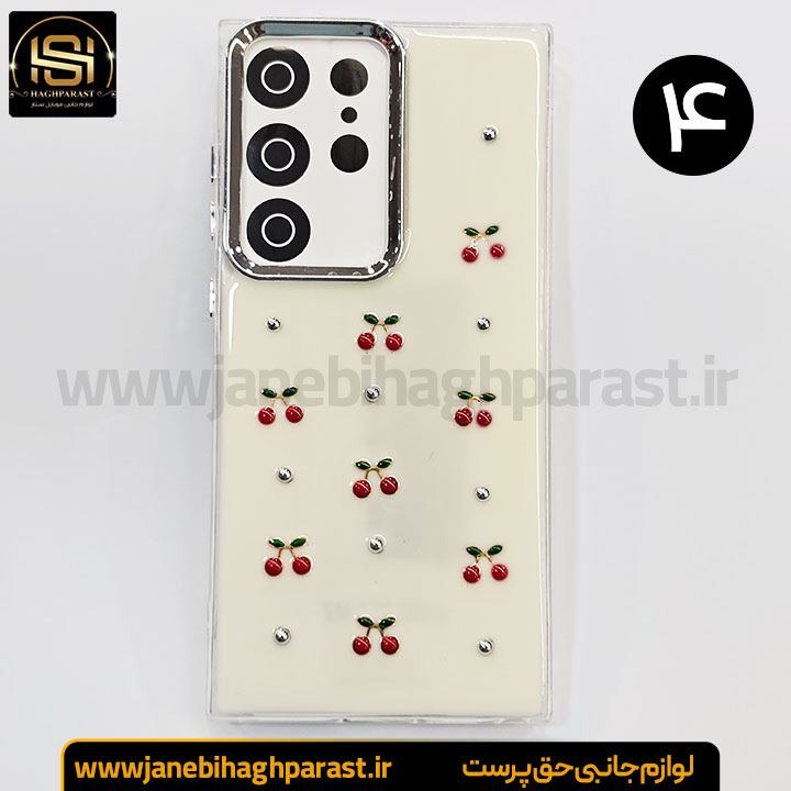 گارد موبایل رزین گوشی سامسونگ S 23 Ultra جانبی حق پرست